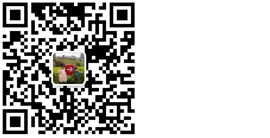 手機端打開(kāi)網(wǎng)站